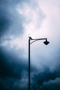 Low angle view of bird perching on street light against sky