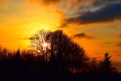 Low angle view of silhouette trees against sky during sunset