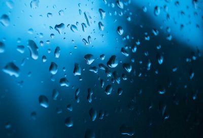 Close-up of rain drops