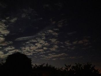 Low angle view of silhouette trees against sky at night