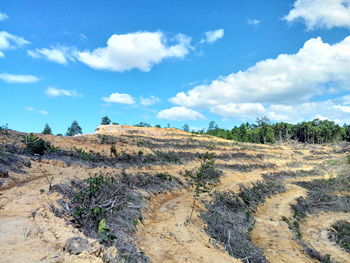 Scenic view of landscape against sky