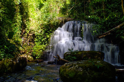 Waterfall in forest