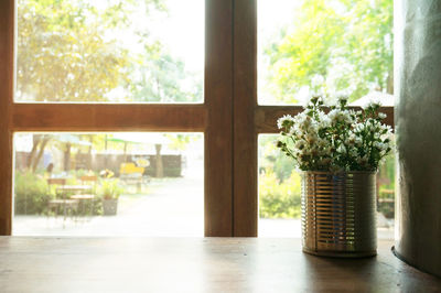 Potted plant on window sill