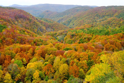 Scenic view of mountains during autumn