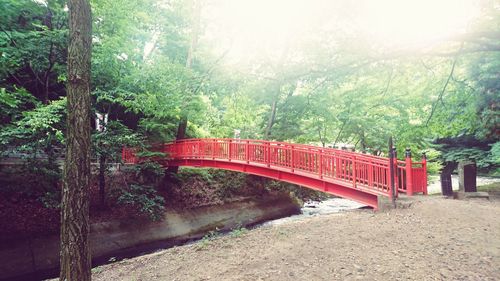 Footbridge over stream