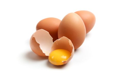 egg