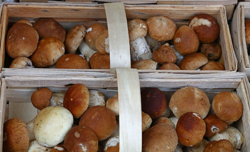 High angle view of mushrooms in containers for sale