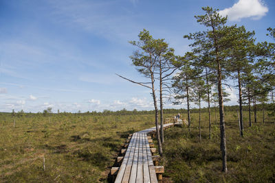 Railroad track amidst trees on field against sky