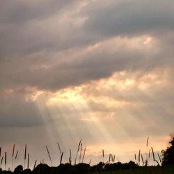 Scenic view of landscape against cloudy sky