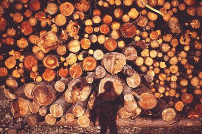 Stack of logs