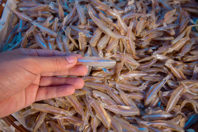 Hand holding fish