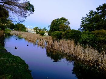 Scenic view of lake by trees against clear sky