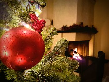 Close-up of christmas tree
