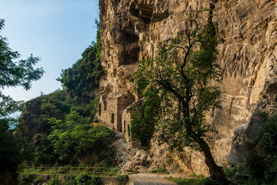 Rock formations in forest