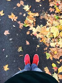 Low section of person standing by autumn leaves on road