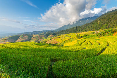 Landscape of pa pong piang rice terraces with homestay on mountain, mae chaem, chiang mai, 