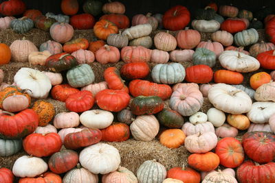 Full frame shot of pumpkins