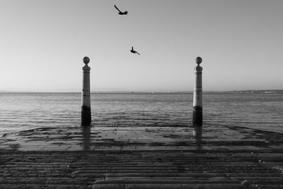 Seagull flying over sea against sky