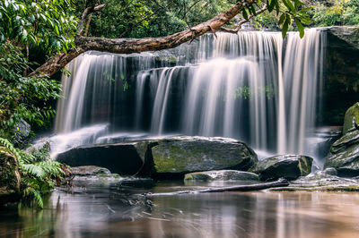 Scenic view of somersby falls in national park