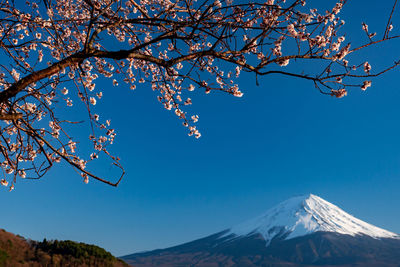 Low angle view of snowcapped mountains against clear blue sky