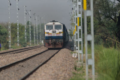 Train on railroad track amidst trees