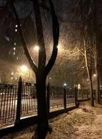 Illuminated street light by tree against sky at night