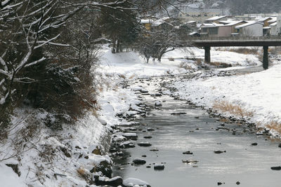 Scenic view of snow covered plants during winter