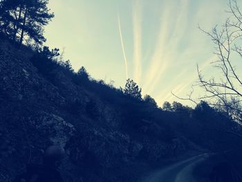 Low angle view of road amidst trees against sky