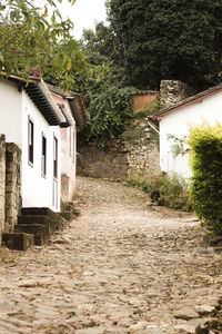 Footpath amidst houses and trees in yard