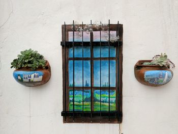 Window amidst potted plant s