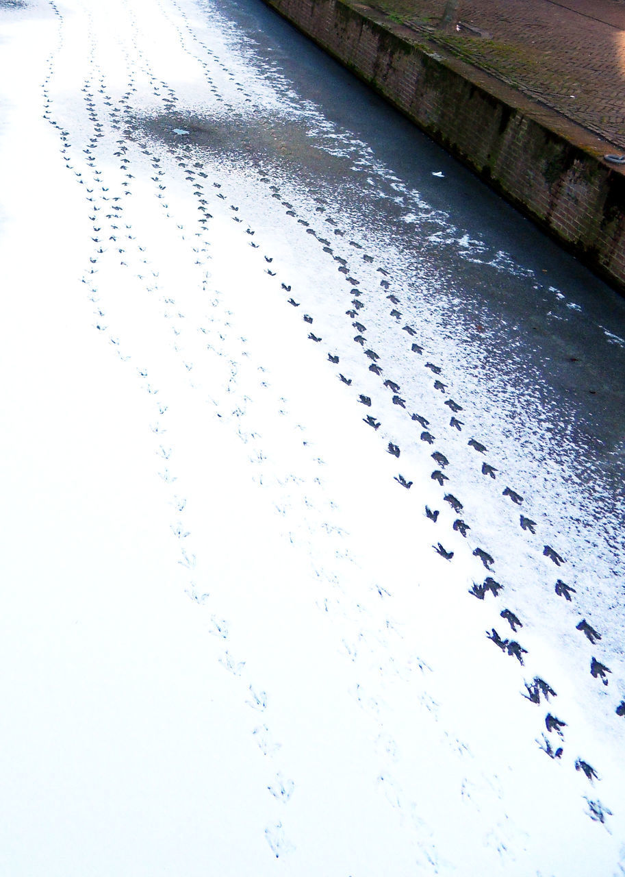 HIGH ANGLE VIEW OF WET SNOW COVERED REFLECTION