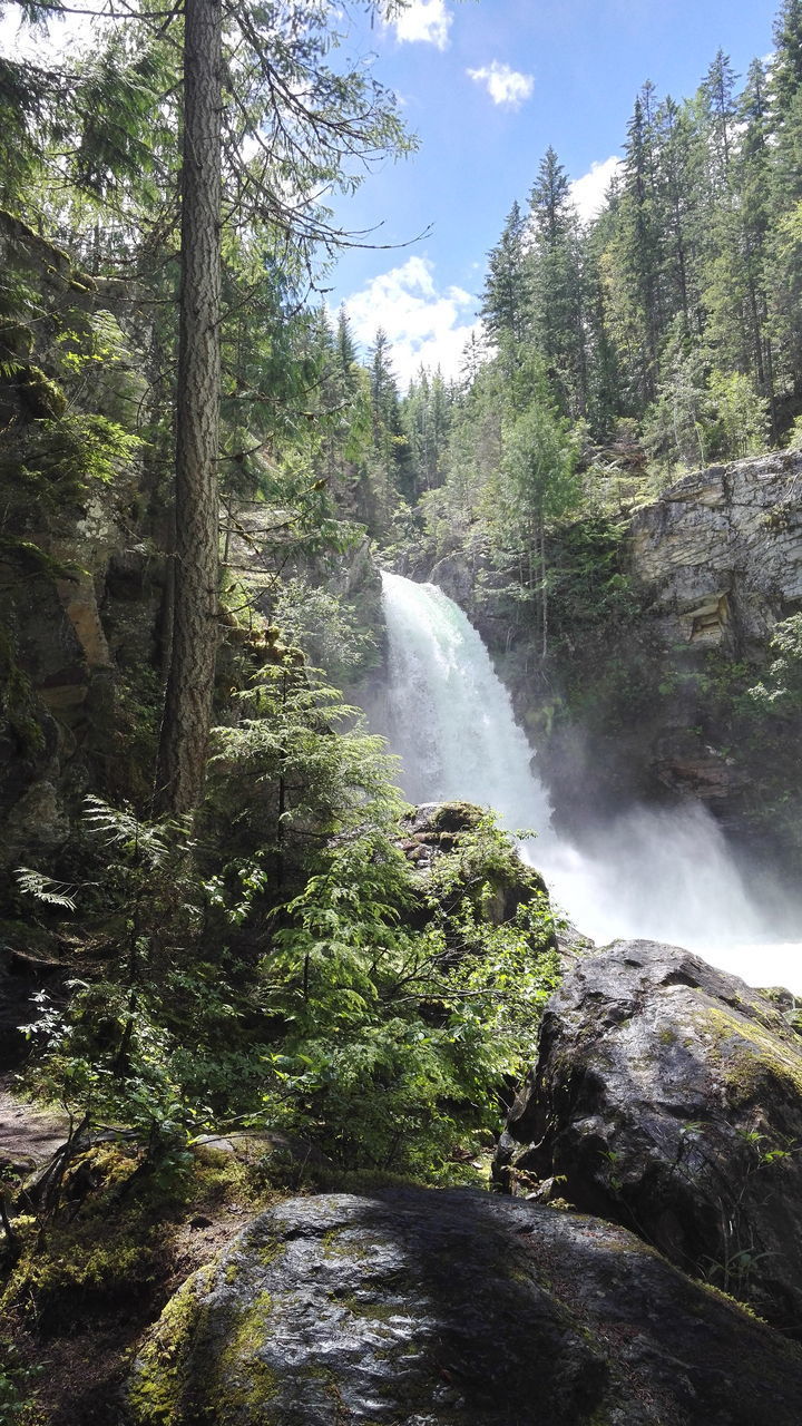 SCENIC VIEW OF WATERFALL AGAINST TREES IN FOREST