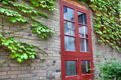 Low angle view of house