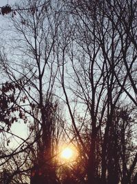 Low angle view of bare trees against sky at sunset