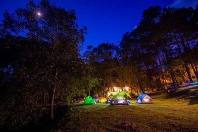 Group of people relaxing on field against trees at night