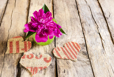 High angle view of pink flower on table