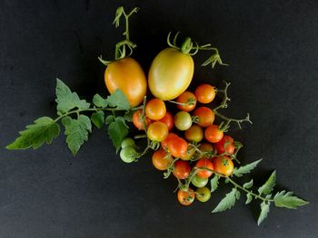 Close-up of orange fruits on table