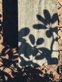 High angle view of shadow on wall