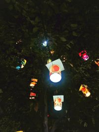 Low angle view of christmas lights hanging from tree