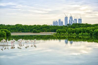 Group of people by lake against buildings in city