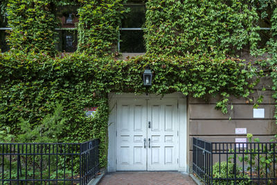 Old wooden door on a wall covered in greenery. windows above entrance, metal forged fence on front.