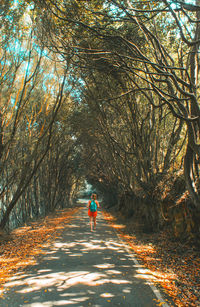 Rear view of man walking on road amidst trees