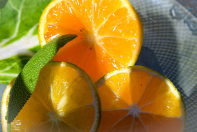 Close-up of orange fruit