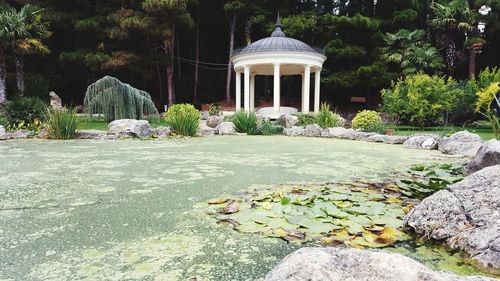 View of lake in garden