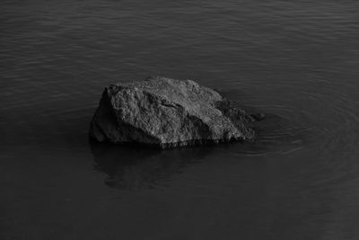 High angle view of rock formation in sea