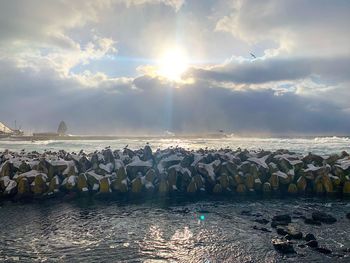 Scenic view of sea against sky