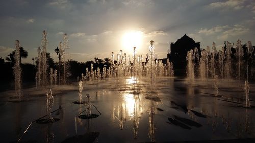 Reflection of trees in water