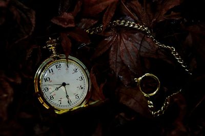 Close-up of clock on tree at night