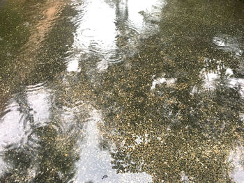 High angle view of puddle on lake during rainy season