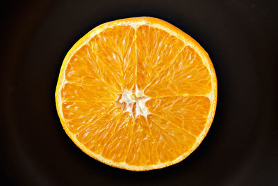 Directly above shot of orange slices